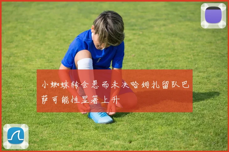 小蜘蛛转会悬而未决哈姆扎留队巴萨可能性显著上升