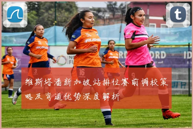 维斯塔潘新加坡站排位赛前调校策略及弯道优势深度解析